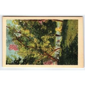 Vintage Linen Postcard Asheville NC Scenic Park 1930s